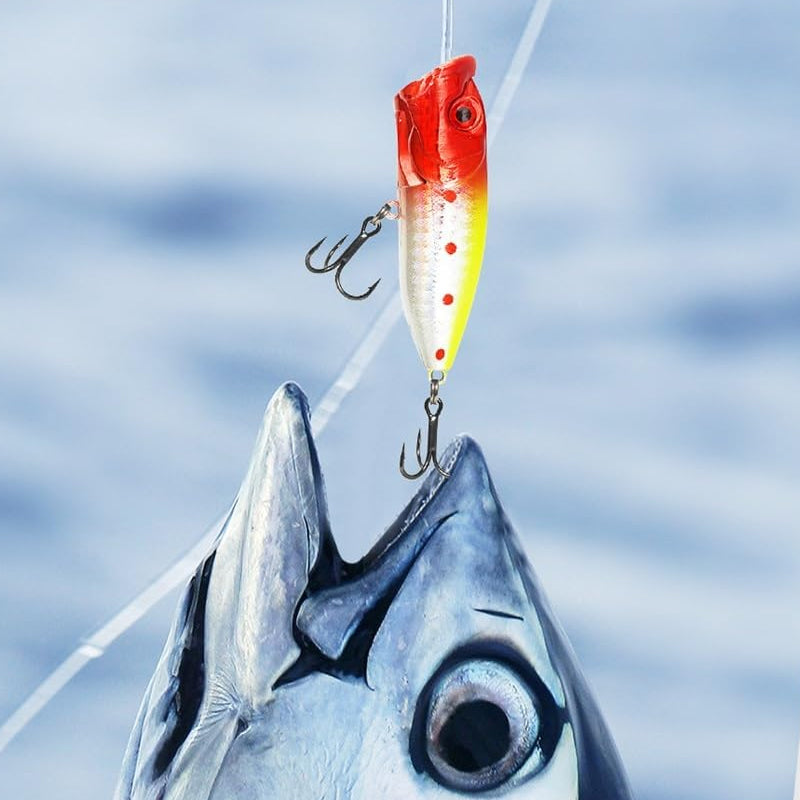 Calendario de adviento de pesca - Artículos de pesca para auténticos pescadores
