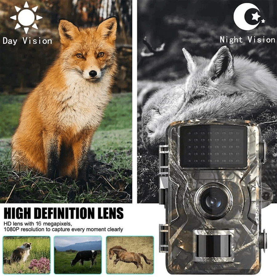Cámara de seguridad y de observación de fauna para exteriores con visión nocturna