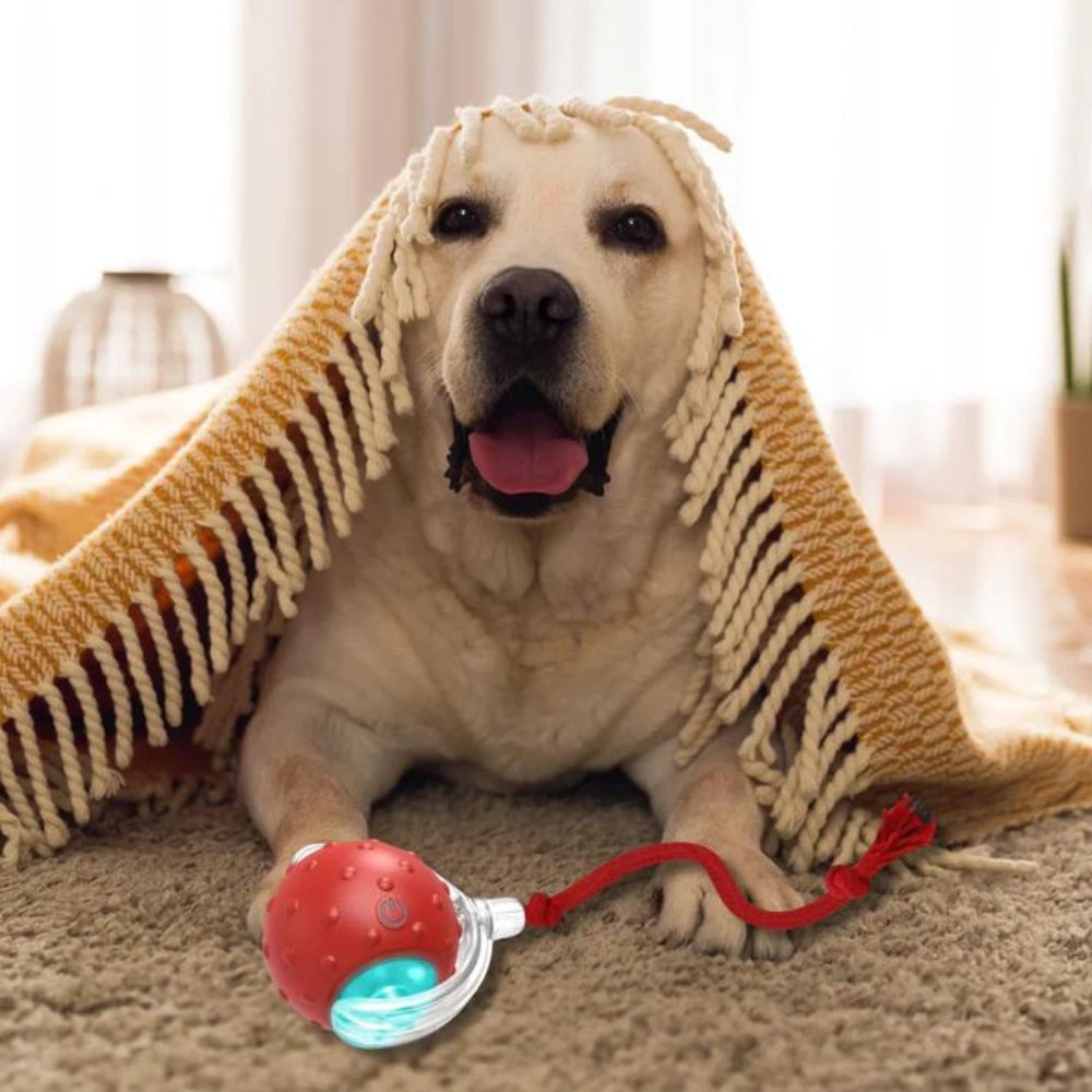 ChewRoll • Juguete de Pelota Rodante