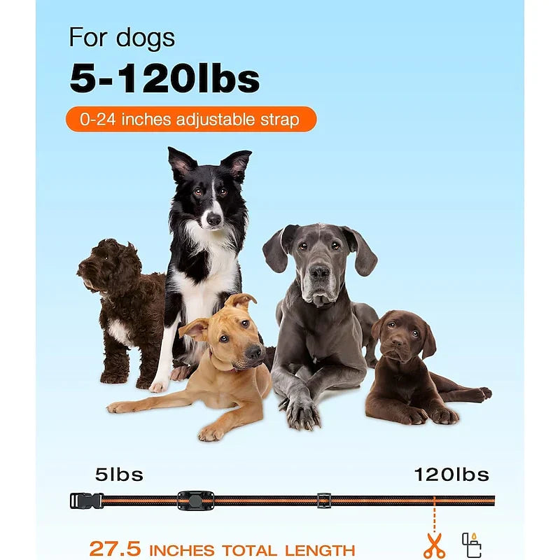 Collar de Entrenamiento Remoto para Perros NovaPace 1000m, Impermeable
