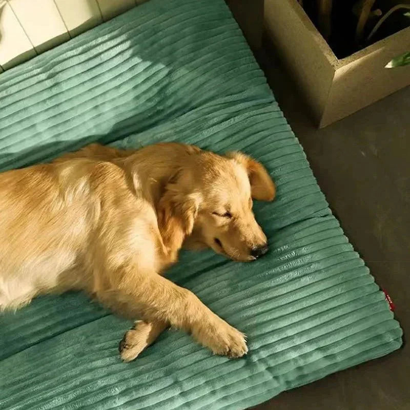 FLAUSCHNEST – Comodidad Acogedora para Perros