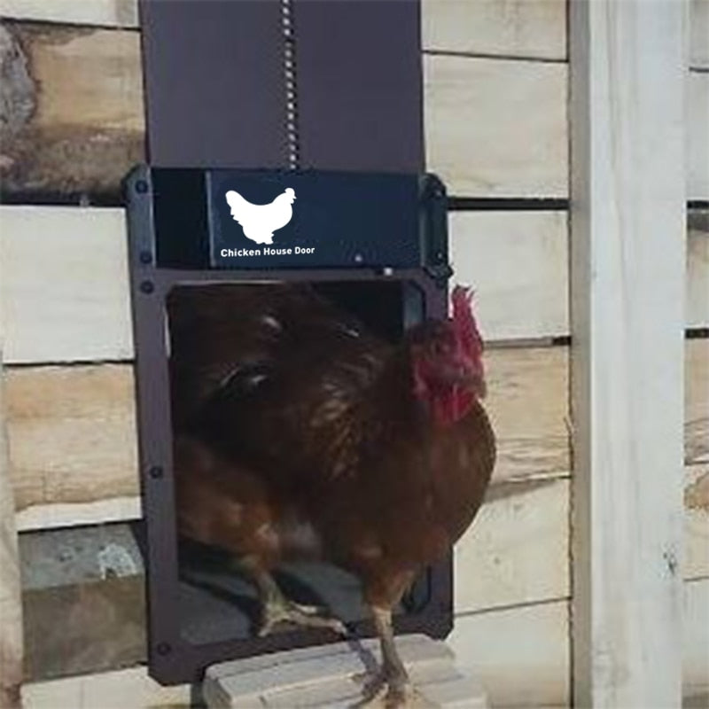 Puerta Automática para Gallinero
