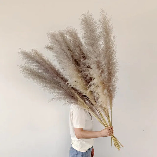 BohoBliss - Hierba de Pampas Secas