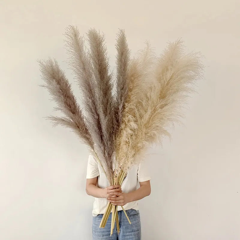 BohoBliss - Hierba de Pampas Secas