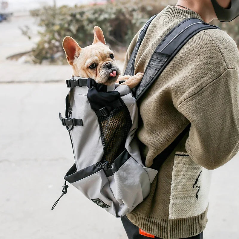 Bolsa de Viaje para Perros Pequeños y Medianos