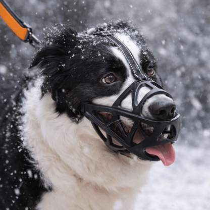 Bozal suave para perros para situaciones cotidianas seguras