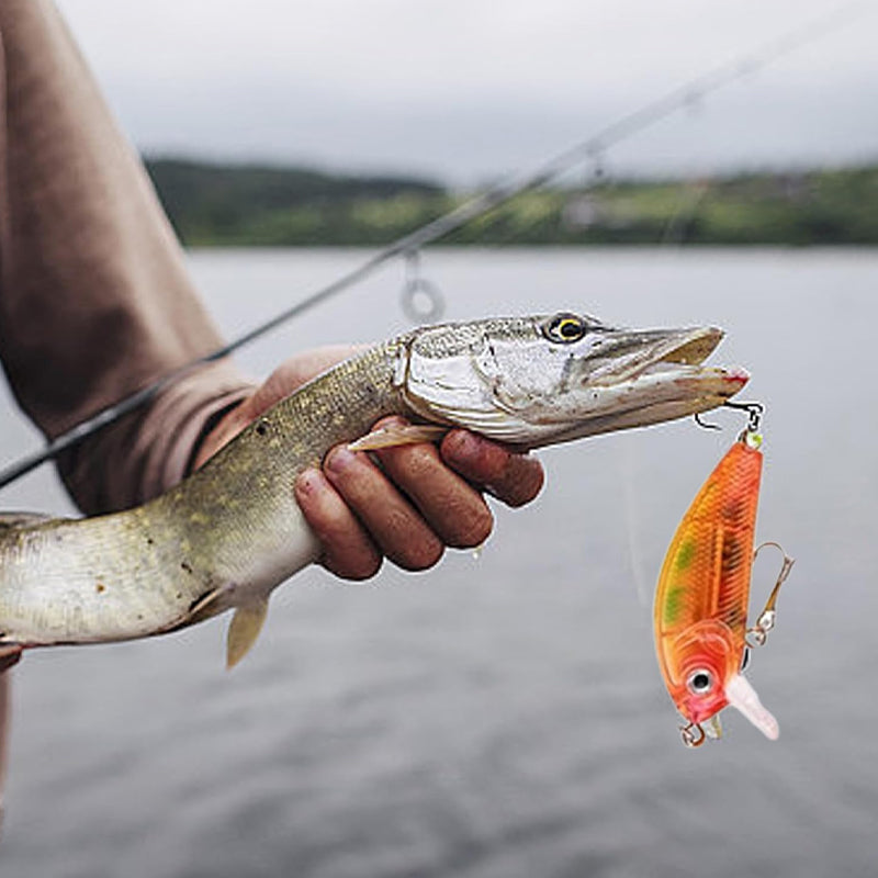Calendario de adviento de pesca - Artículos de pesca para auténticos pescadores