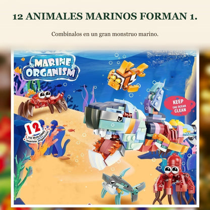 Calendario de Adviento de Vida Marina, 24 Animales de Bloques + Gran Criatura Marina
