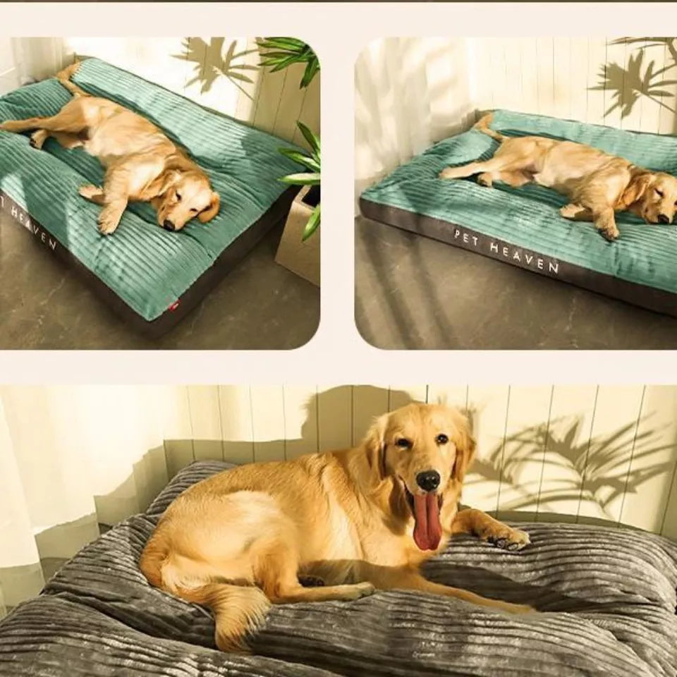 Cama ortopédica para perros – Acogedora y de gran soporte