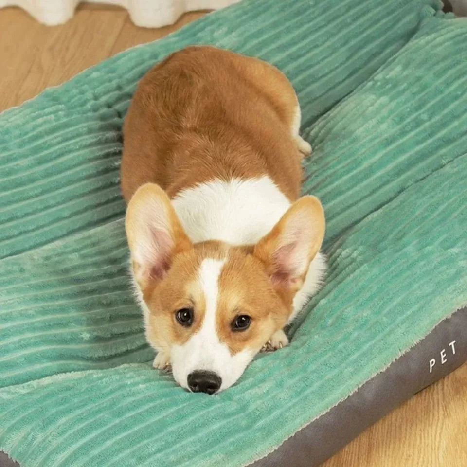 Cama ortopédica para perros – Acogedora y de gran soporte