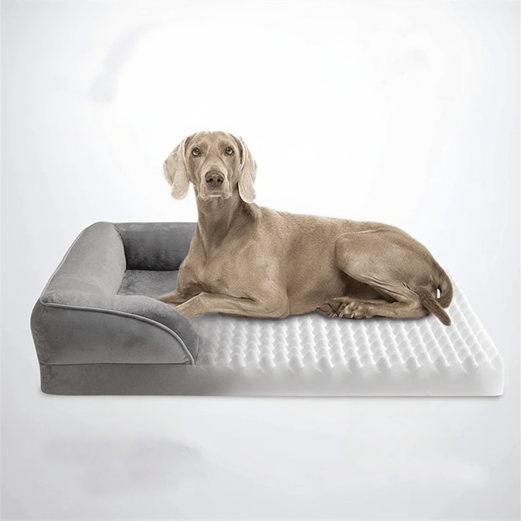 Cama ortopédica para perros para alivio articular con funda de terciopelo desenfundable