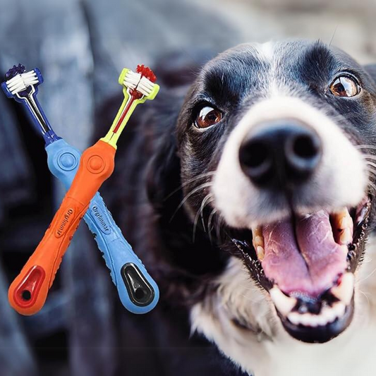 Cepillo de Dientes Triangular para Mascotas de 2 Piezas - Control de Sarro para Dientes Saludables
