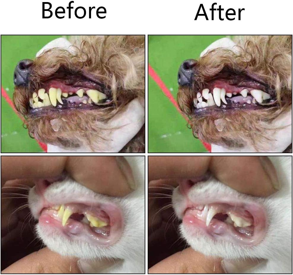 Cepillo de Dientes Triangular para Mascotas de 2 Piezas - Control de Sarro para Dientes Saludables
