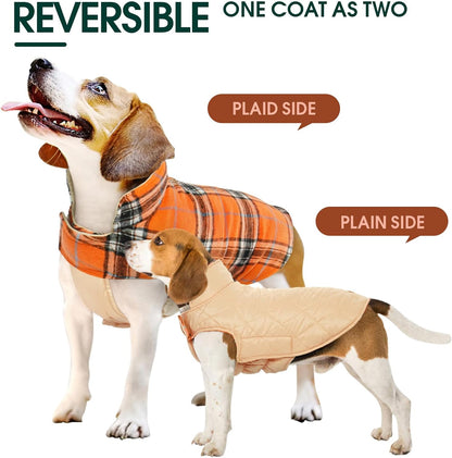 Chaqueta de Perro Impermeable y Acogedora – Abrigo de Invierno en Estilo Británico