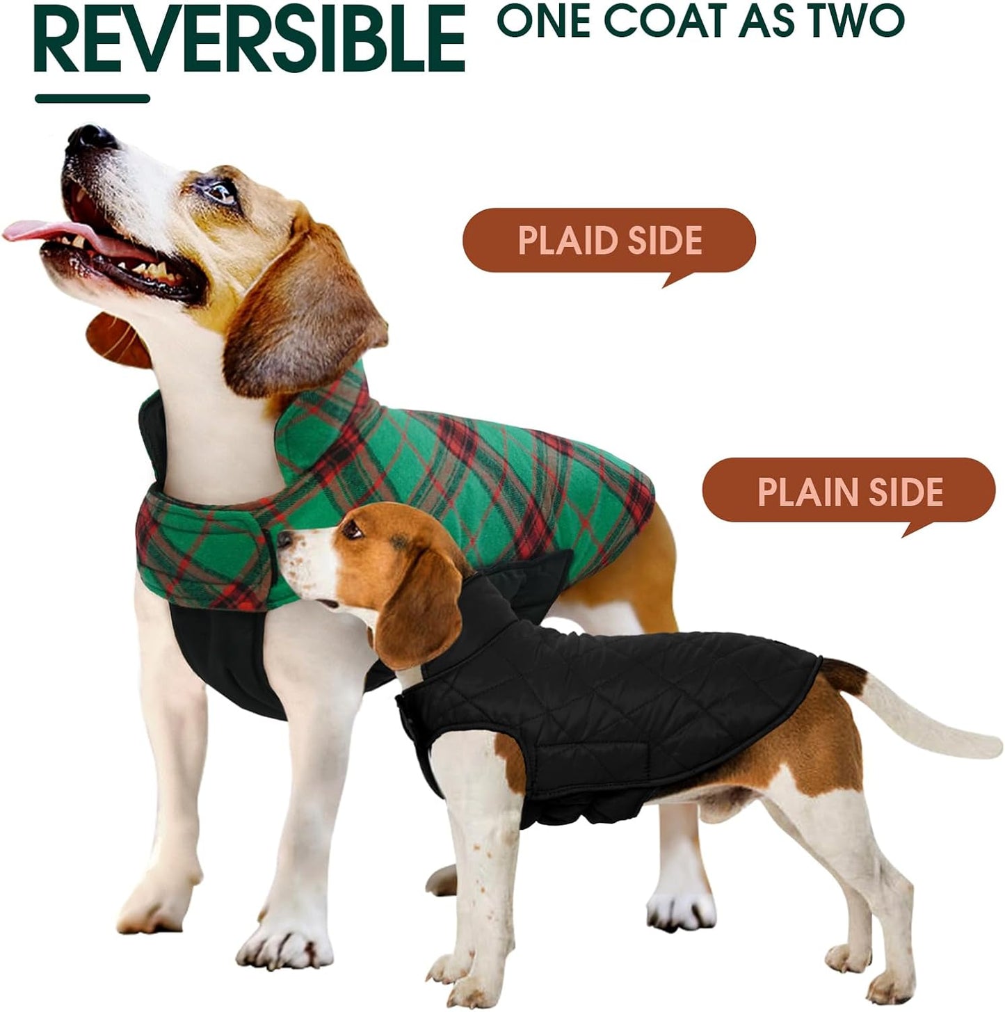 Chaqueta de Perro Impermeable y Acogedora – Abrigo de Invierno en Estilo Británico