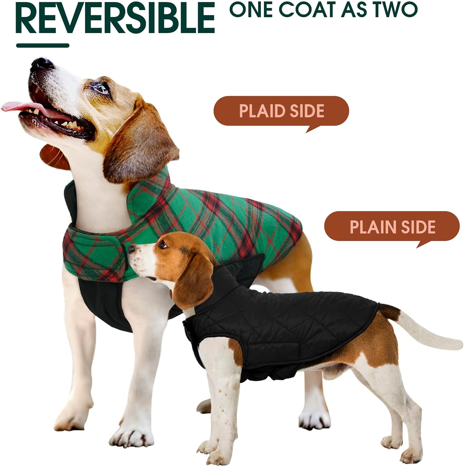 Chaqueta de Perro Impermeable y Acogedora – Abrigo de Invierno en Estilo Británico