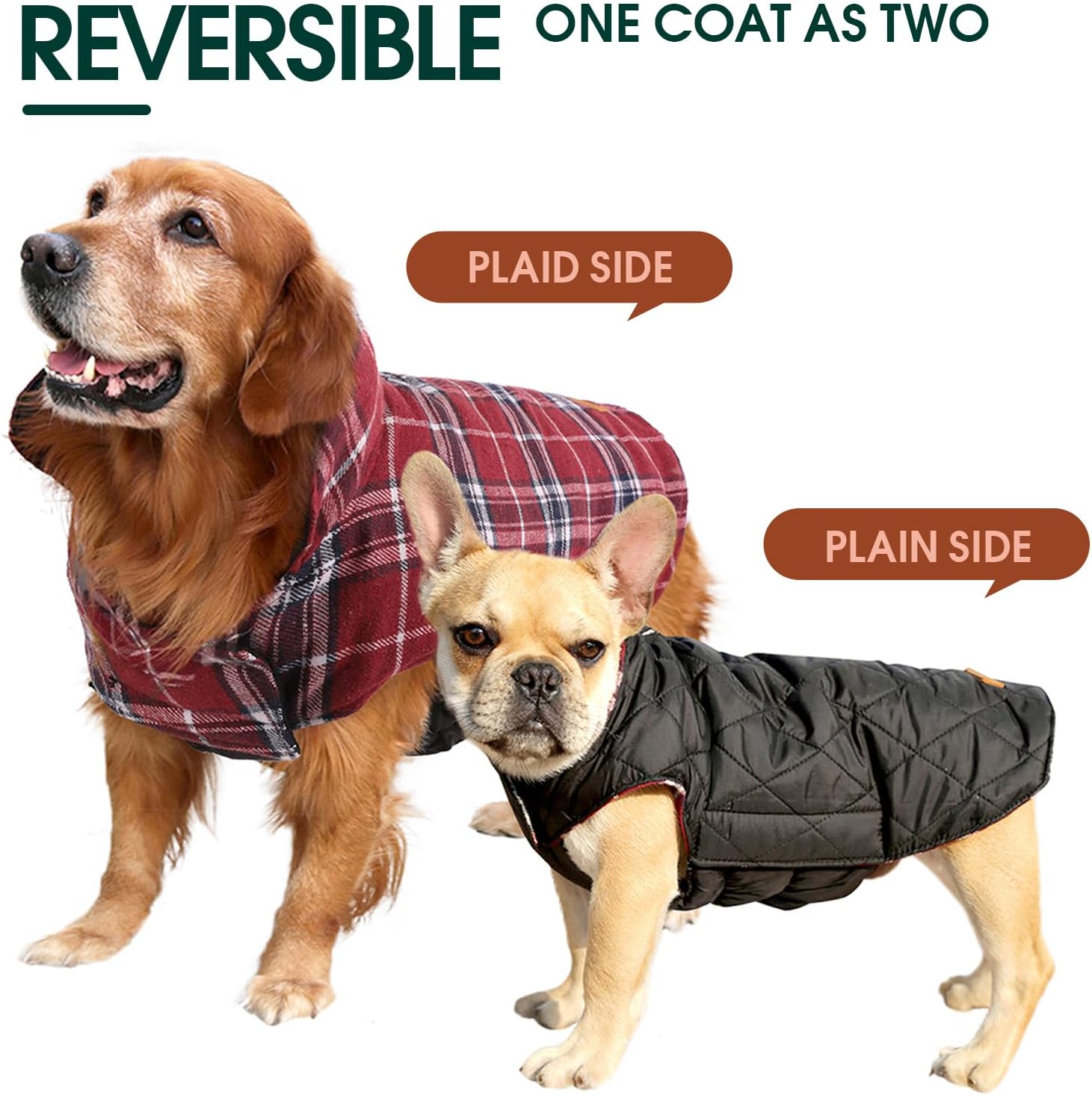 Chaqueta de Perro Impermeable y Acogedora – Abrigo de Invierno en Estilo Británico