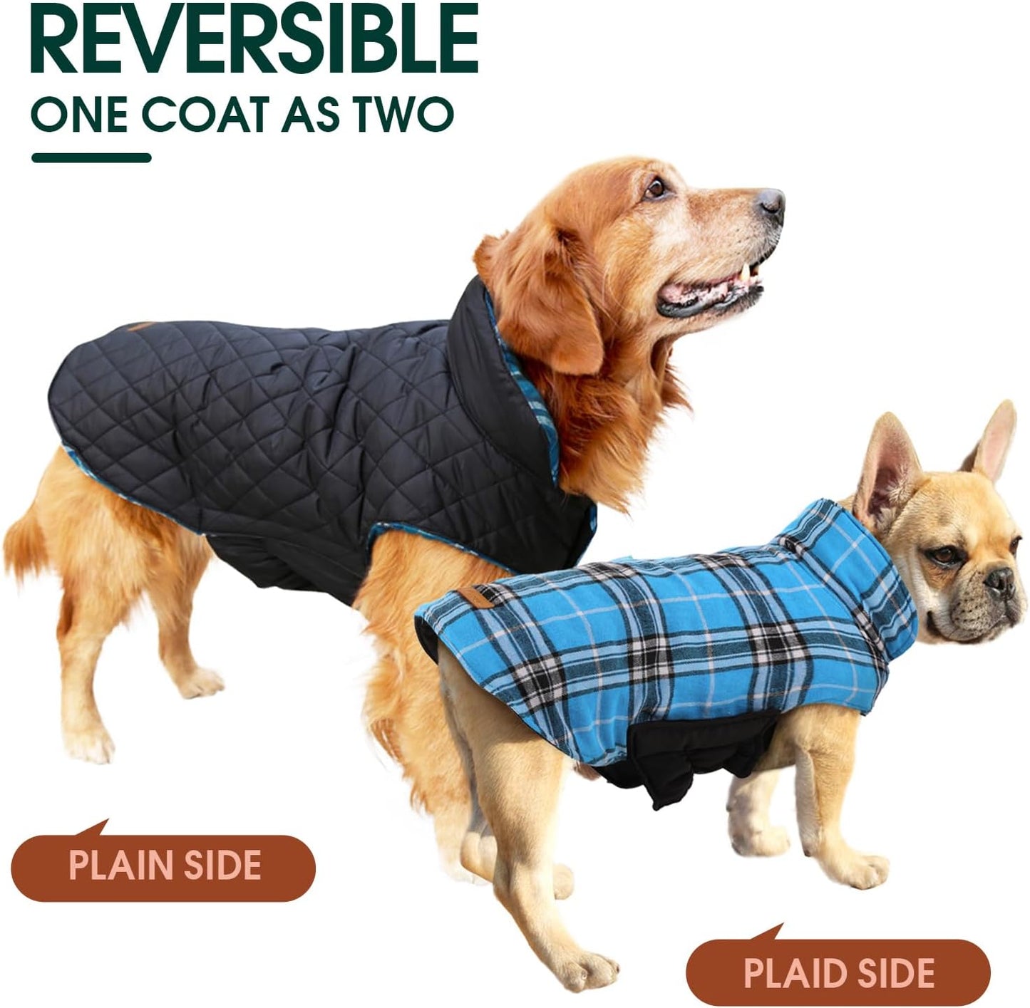 Chaqueta de Perro Impermeable y Acogedora – Abrigo de Invierno en Estilo Británico