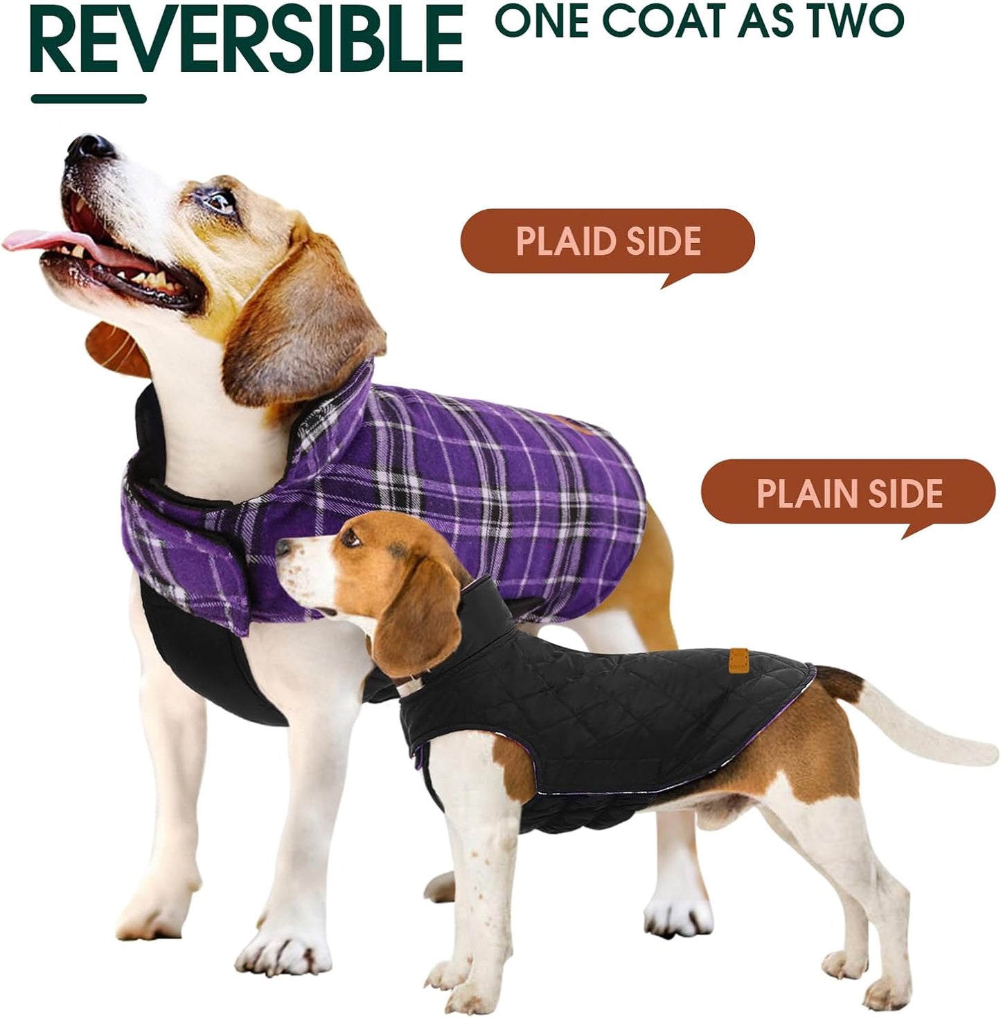 Chaqueta de Perro Impermeable y Acogedora – Abrigo de Invierno en Estilo Británico