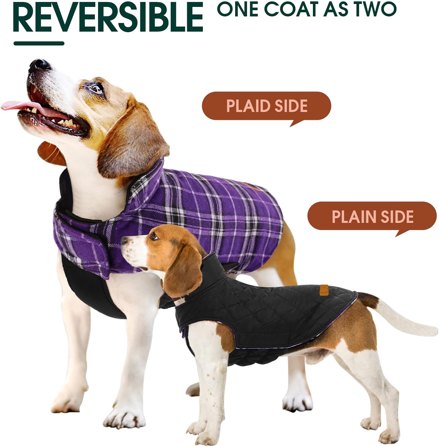 Chaqueta de Perro Impermeable y Acogedora – Abrigo de Invierno en Estilo Británico