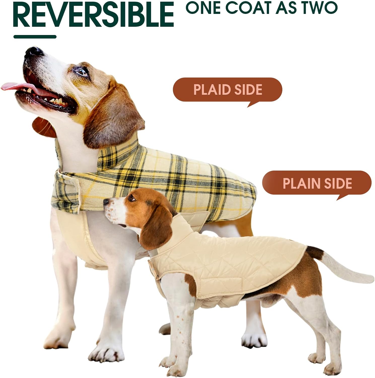 Chaqueta de Perro Impermeable y Acogedora – Abrigo de Invierno en Estilo Británico
