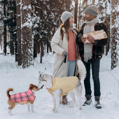 Chaqueta de Perro Impermeable y Acogedora – Abrigo de Invierno en Estilo Británico