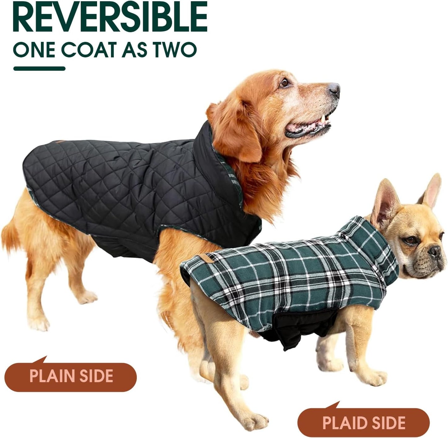 Chaqueta de Perro Impermeable y Acogedora – Abrigo de Invierno en Estilo Británico