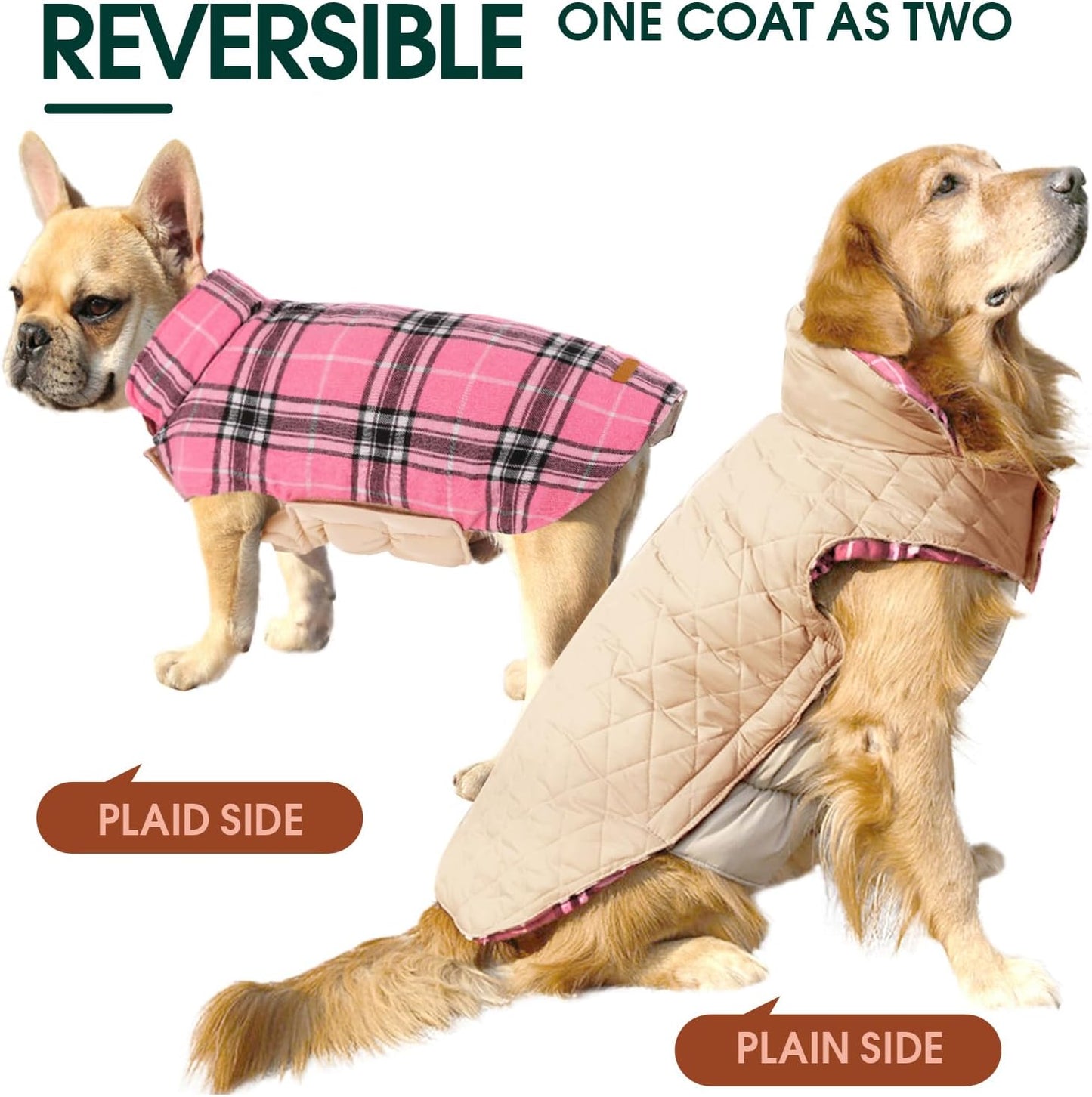 Chaqueta de Perro Impermeable y Acogedora – Abrigo de Invierno en Estilo Británico