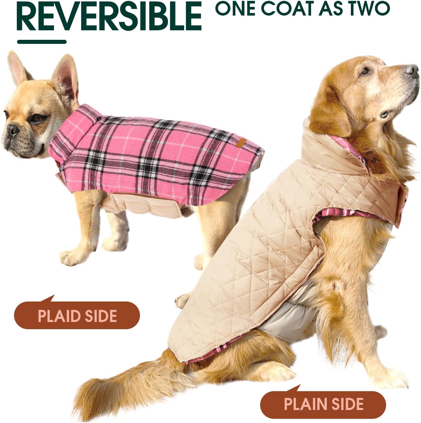 Chaqueta de Perro Impermeable y Acogedora – Abrigo de Invierno en Estilo Británico
