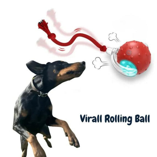 ChewRoll • Juguete de Pelota Rodante