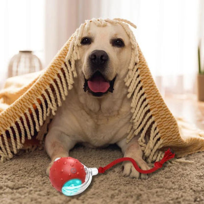 ChewRoll • Juguete de Pelota Rodante
