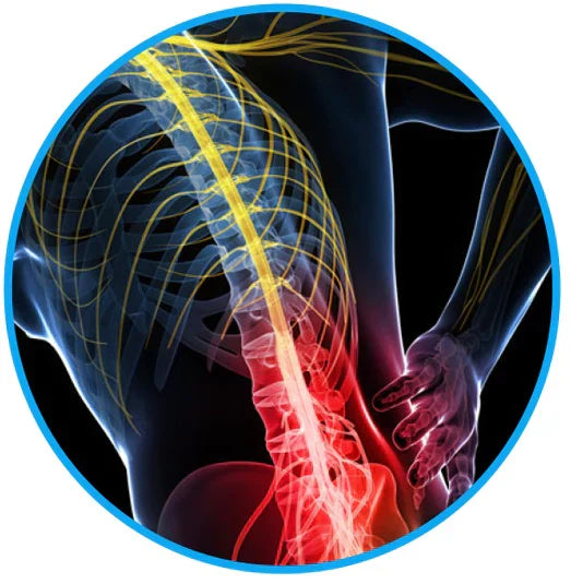 Cinturón para Alivio del Dolor Ciático - elimina tu ciática y dolor lumbar