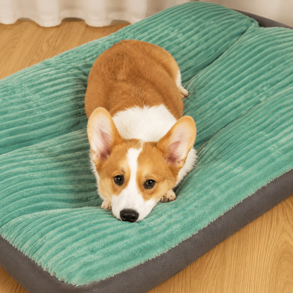Cojín ortopédico para perros cálido y cómodo