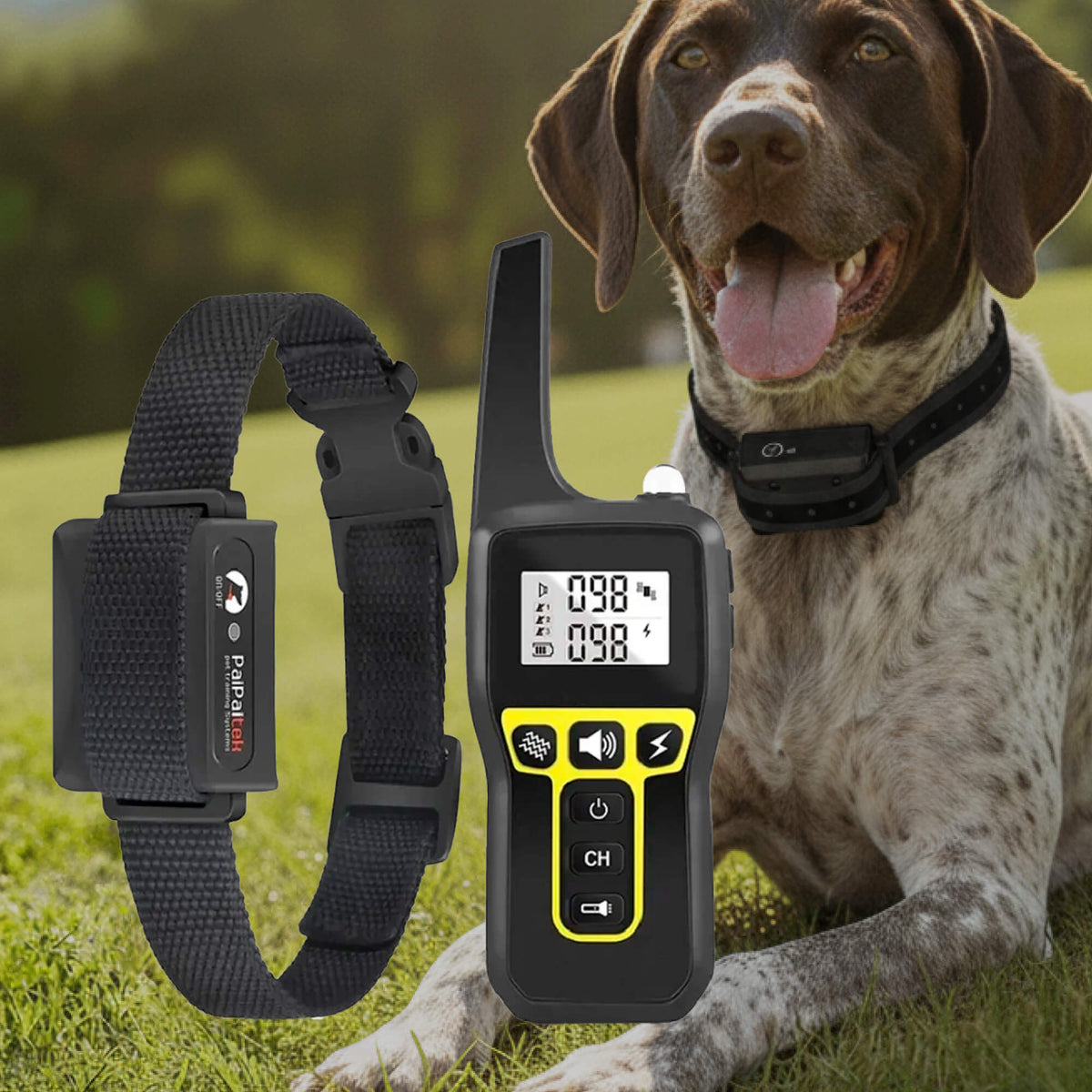 Collar de adiestramiento para perros impermeable de 1000 m | Recargable, con mando a distancia y ajustable para perros pequeños, medianos y grandes