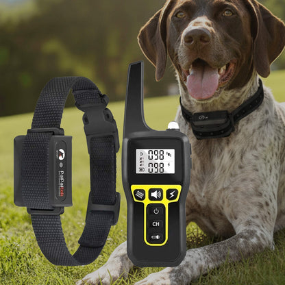 Collar de adiestramiento para perros impermeable de 1000 m | Recargable, con mando a distancia y ajustable para perros pequeños, medianos y grandes