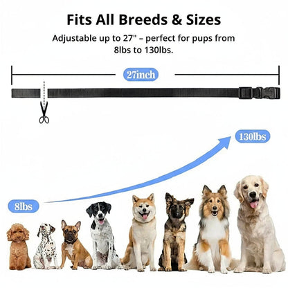 Collar de adiestramiento para perros impermeable de 1000 m | Recargable, con mando a distancia y ajustable para perros pequeños, medianos y grandes