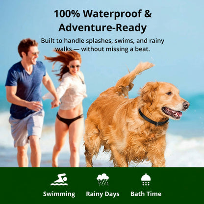 Collar de adiestramiento para perros impermeable de 1000 m | Recargable, con mando a distancia y ajustable para perros pequeños, medianos y grandes