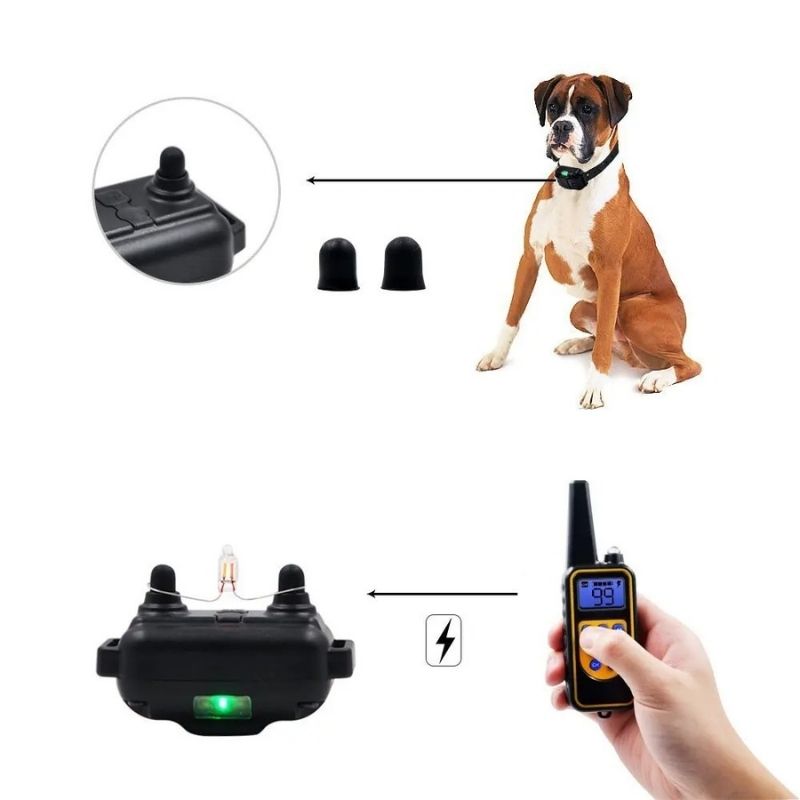 Collar de Entrenamiento para Perros de Caza