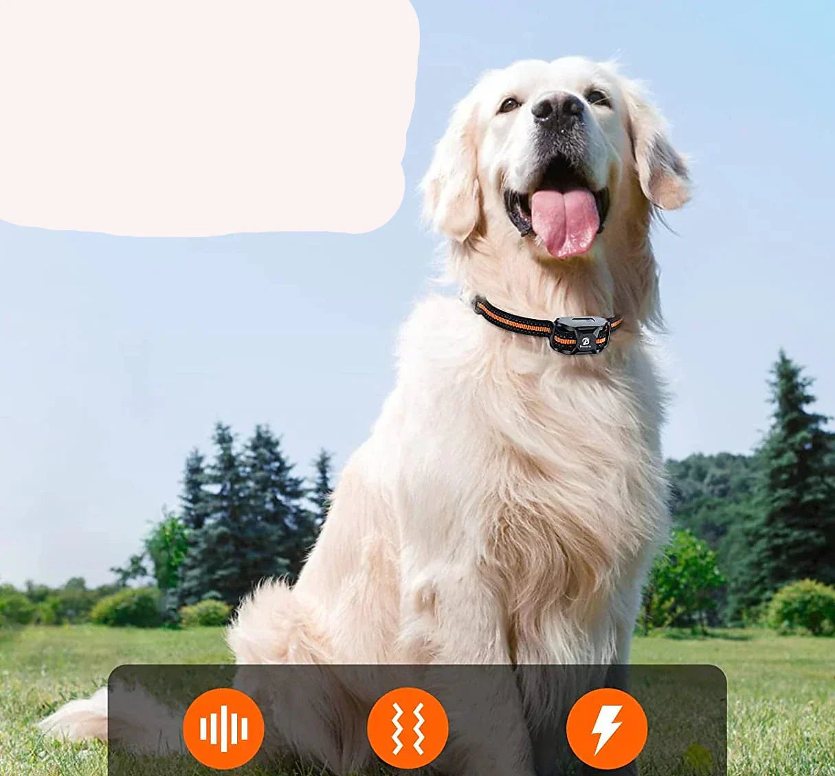 Collar de Entrenamiento Remoto para Perros NovaPace 1000m, Impermeable