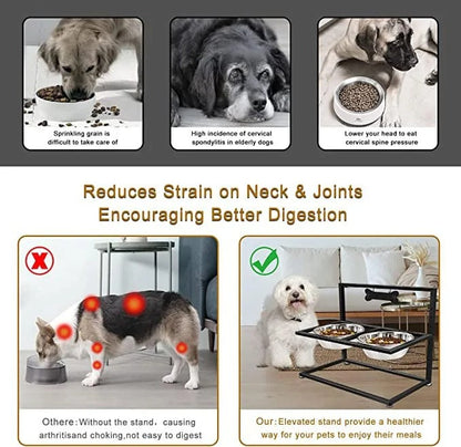 Comedero elevado para perros con 2 cuencos