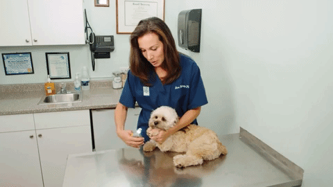 Cortauñas PawGuard Pro con Sensores Rápidos Inteligentes