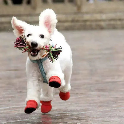 CozyPaws • Botas Impermeables para Perros