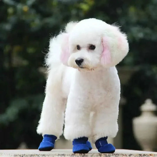 CozyPaws • Botas Impermeables para Perros