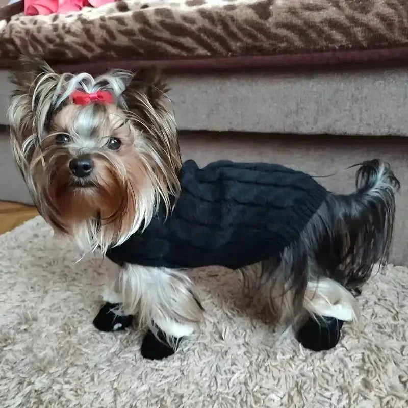 CozyPaws • Botas Impermeables para Perros