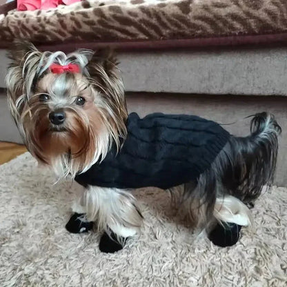CozyPaws • Botas Impermeables para Perros