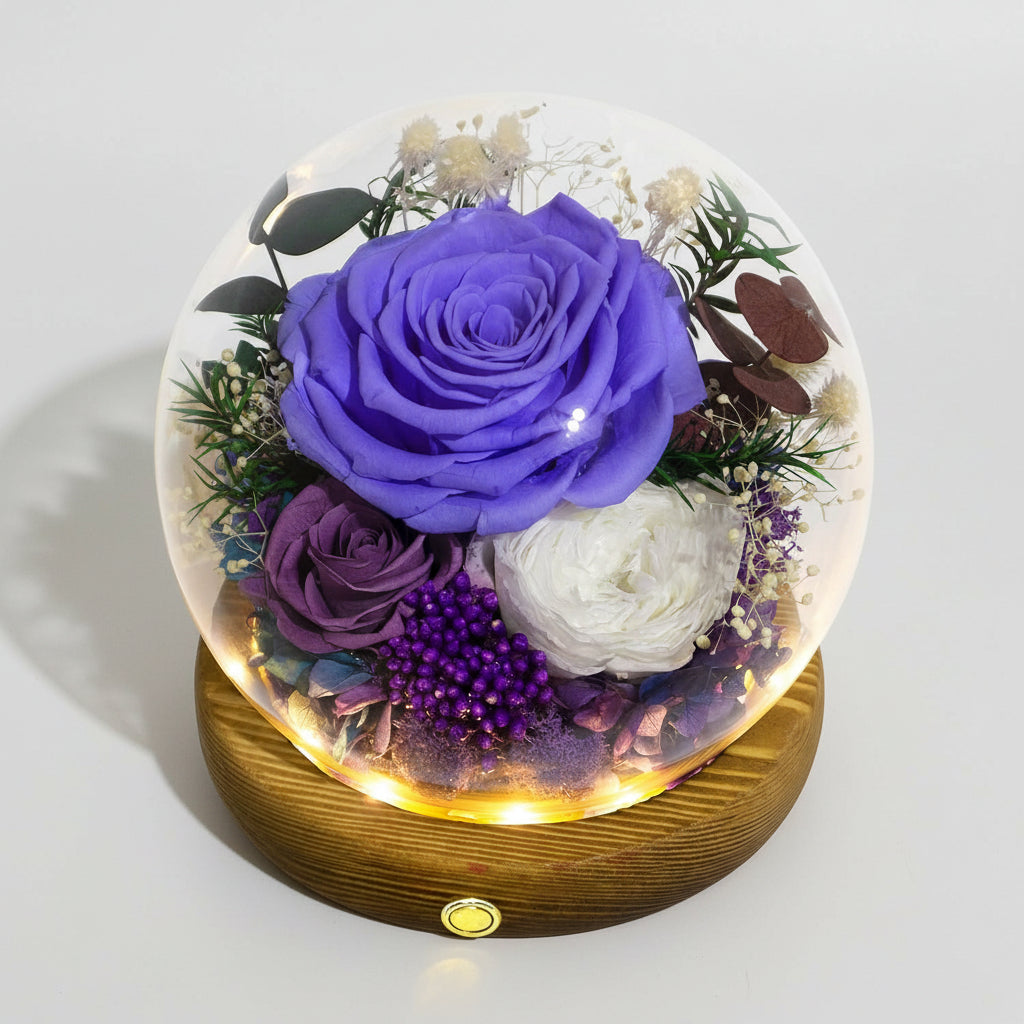 Cúpula de cristal con rosa preservada — Luces LED integradas