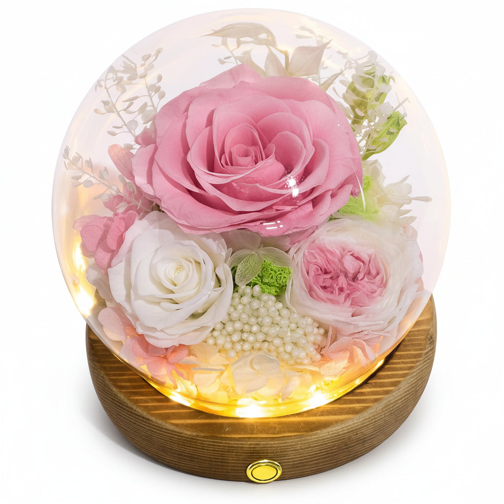 Cúpula de cristal con rosa preservada — Luces LED integradas