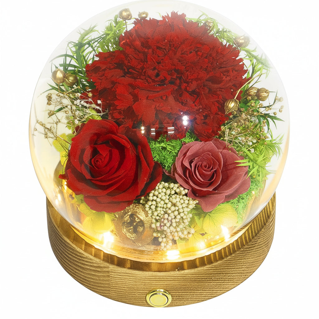 Cúpula de cristal con rosa preservada — Luces LED integradas