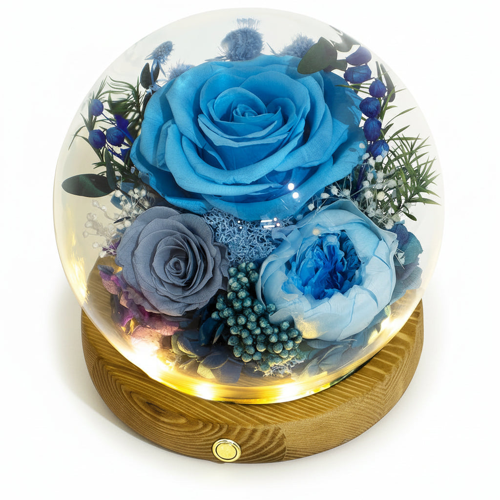 Cúpula de cristal con rosa preservada — Luces LED integradas