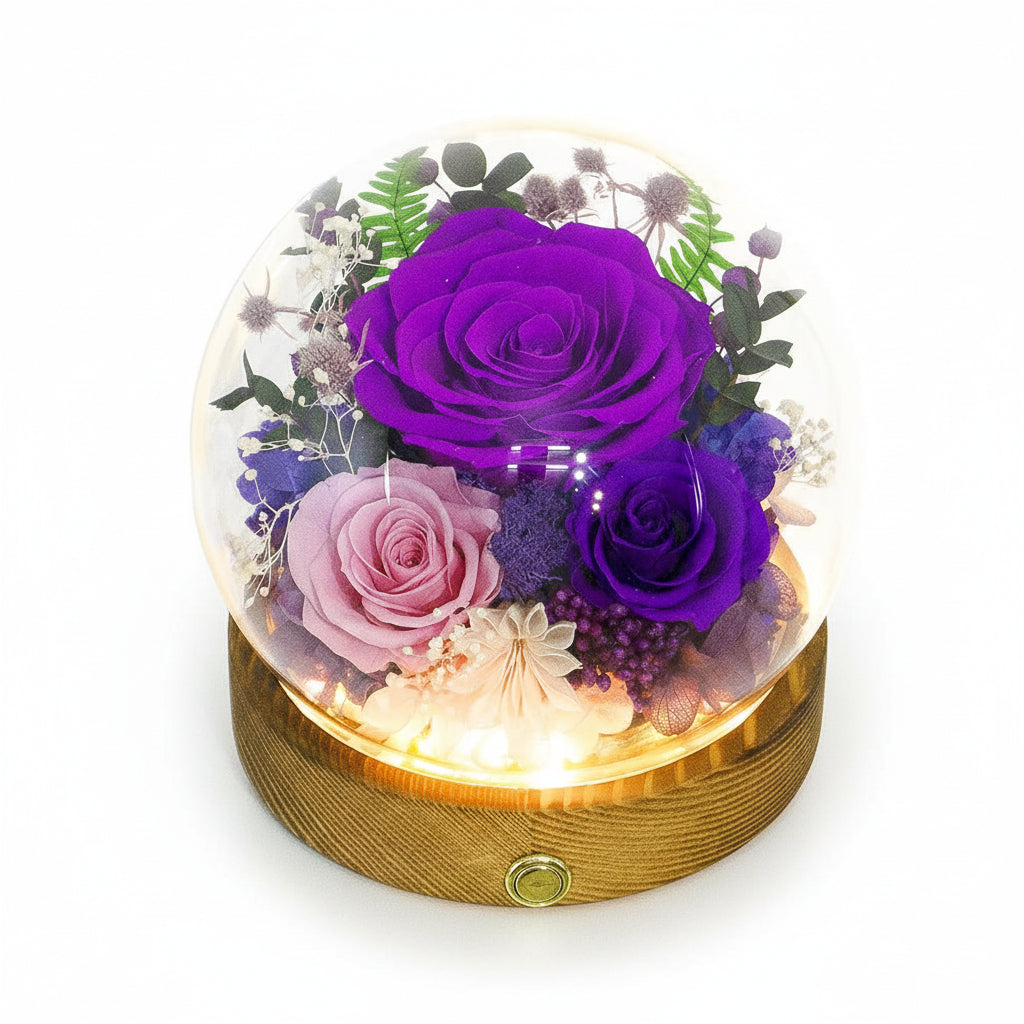 Cúpula de cristal con rosa preservada — Luces LED integradas